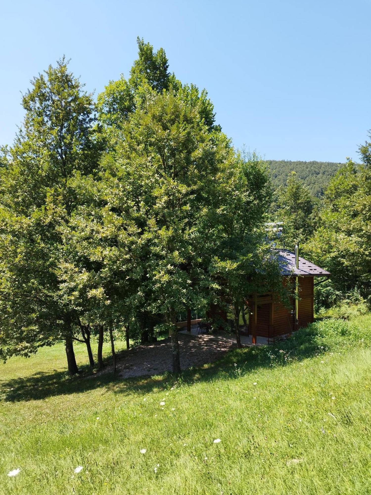 Kuca U Sumi - Forest House Near National Park Una - Air Spa Lohovo Bihać Exterior foto
